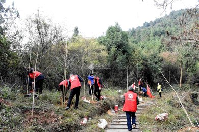 绿染小匡山，纪念馆在行动