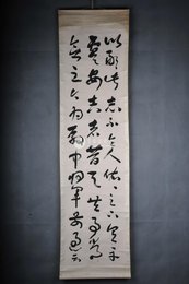 近代张叔玉行草以感此志卷轴